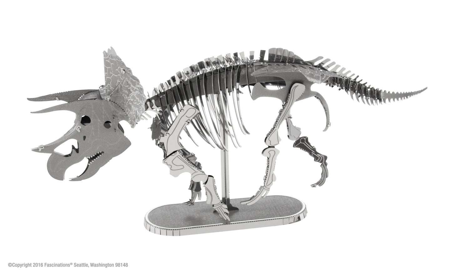 TRICERATOPS SKELETON