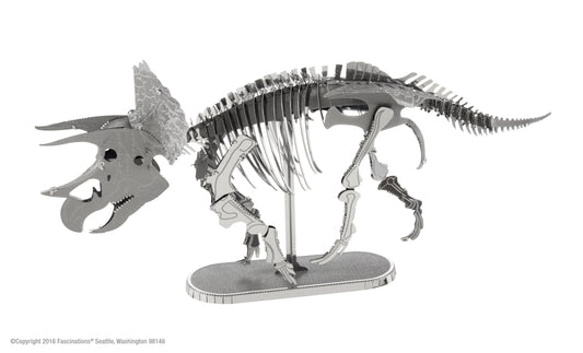 TRICERATOPS SKELETON
