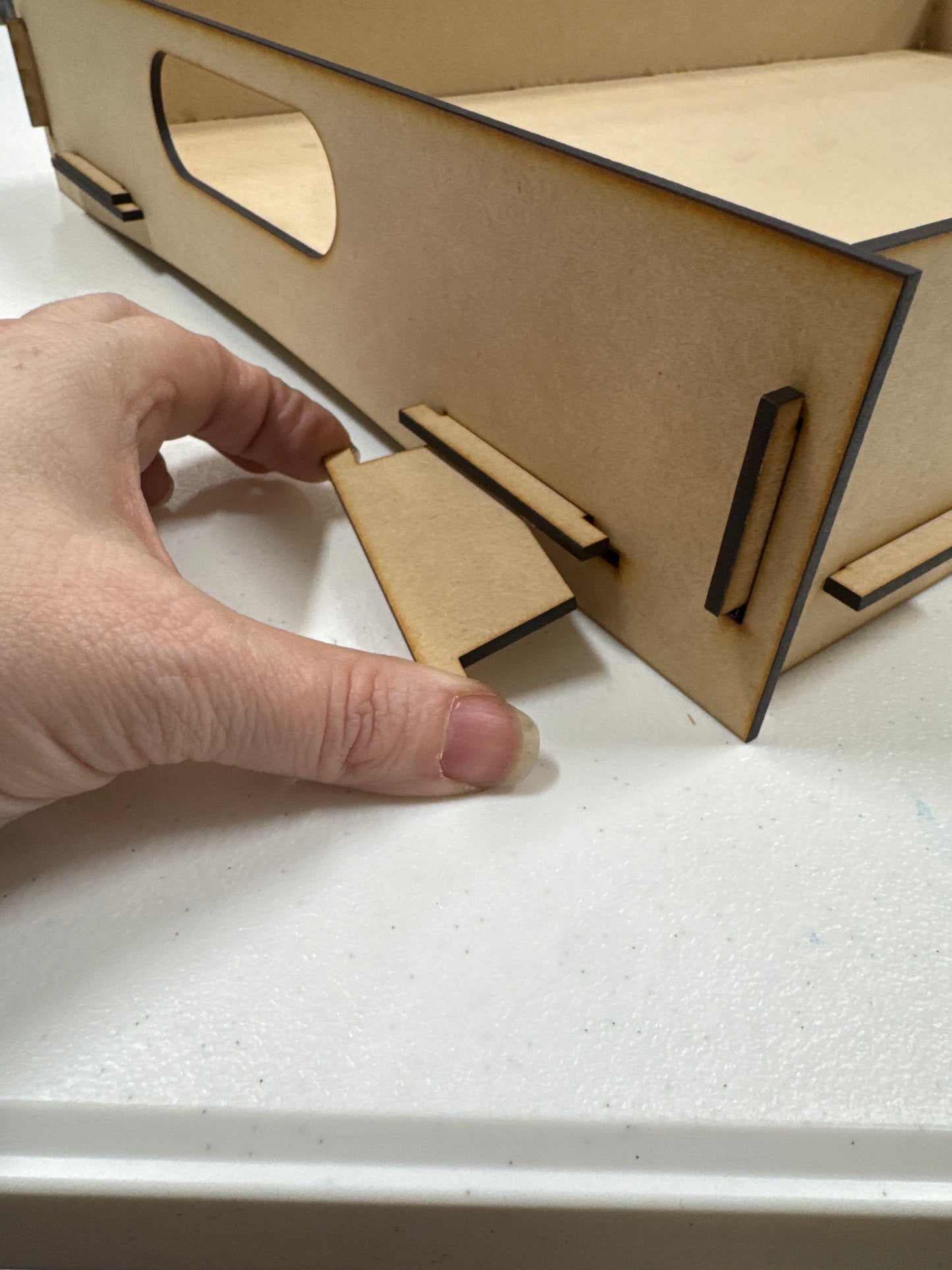 Carry tray