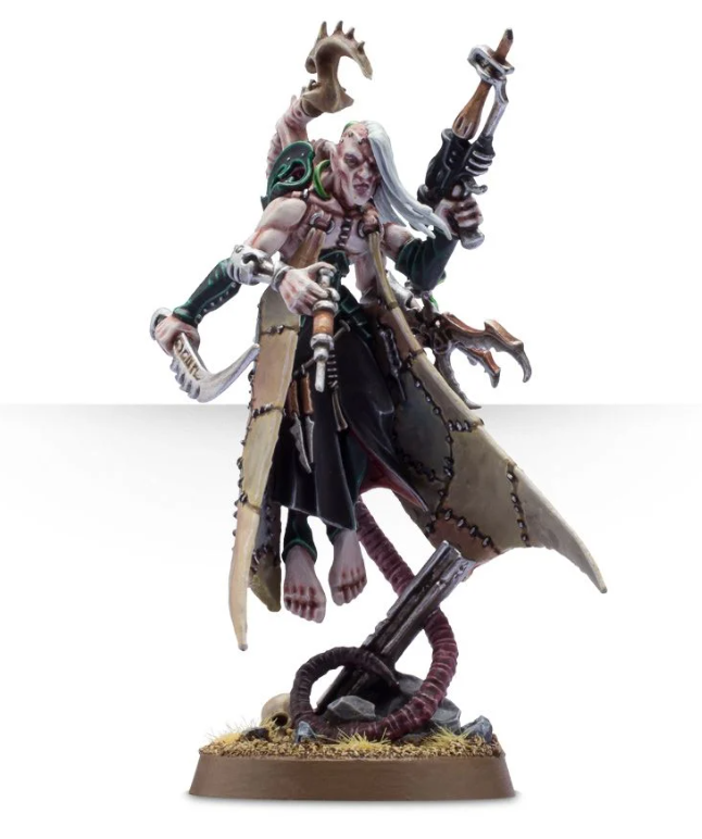 Haemonculus